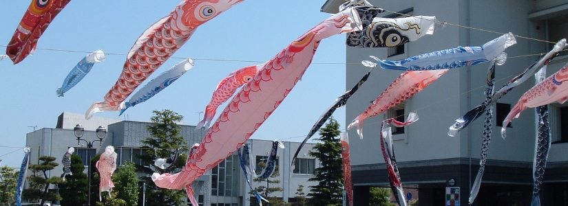 koinobori.jpg